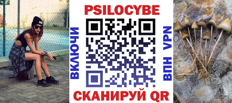 продажа наркотиков  Абакан  Галлюциногенные грибы Psilocybe 